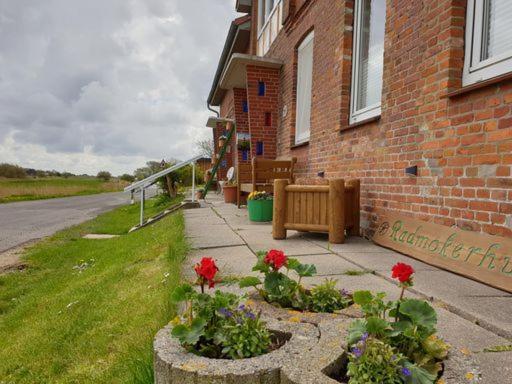Wiesenblick Pellworm Exterior foto