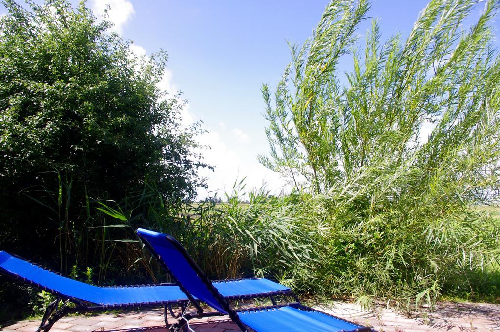 Wiesenblick Pellworm Habitación foto